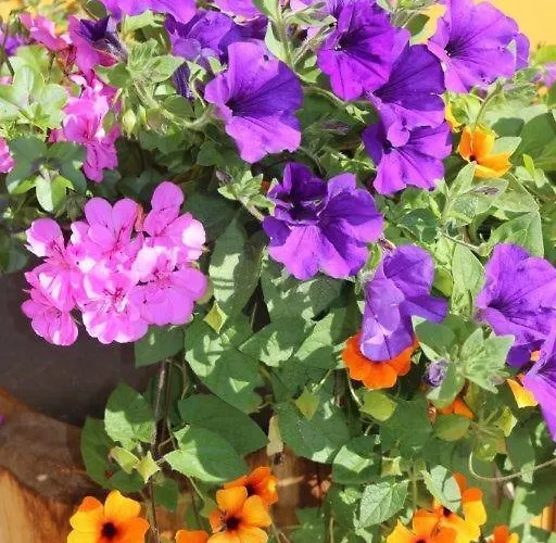 Katharina Bis 5 Personen Mit Saunachalet Und Blick Auf Bergwelt Des Zillertals *