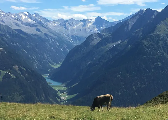 Katharina Bis 5 Personen Mit Saunachalet Und Blick Auf Bergwelt Des Zillertals דירה היפאך